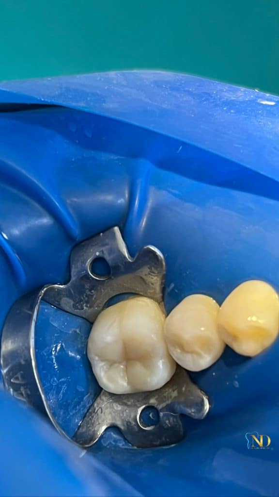 1BD5EE5F-ACC4-48C5-BAF0-B7F5004D581A