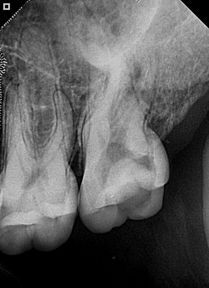 280271845_10166369143655080_7348819610436619395_n