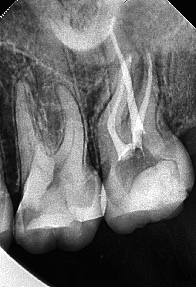 280547386_10166369150505080_5970222627843147182_n