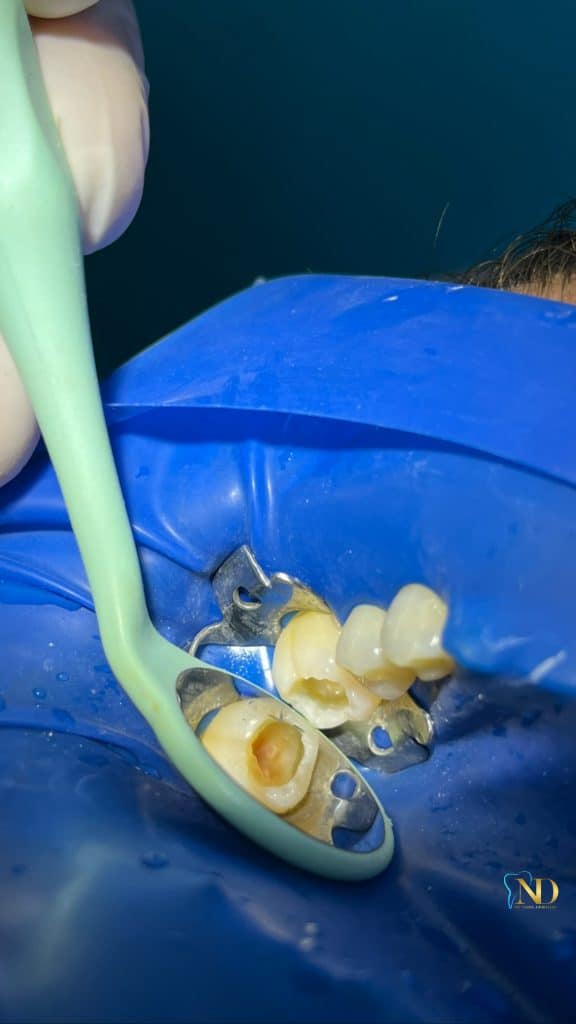 77C3E604-C672-4A73-8476-E3F0C2AD6B9D