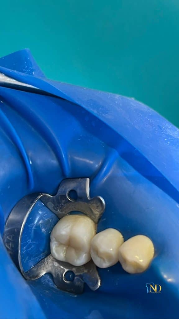 949C4DCF-3FD5-489C-9AE5-1CFAC75FE54D