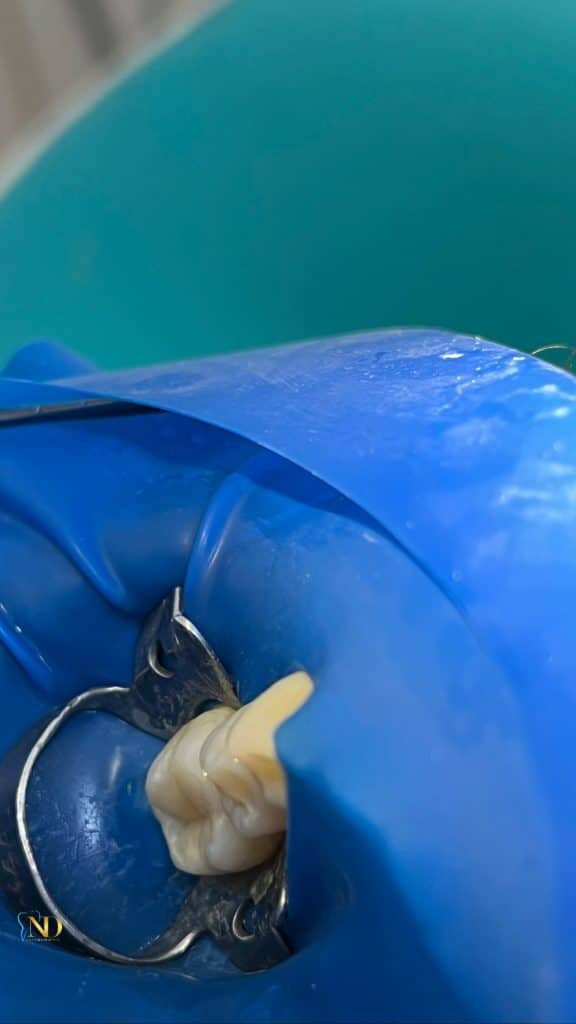 C340A0C9-32AF-43A7-90E5-DEAD7488AAF6