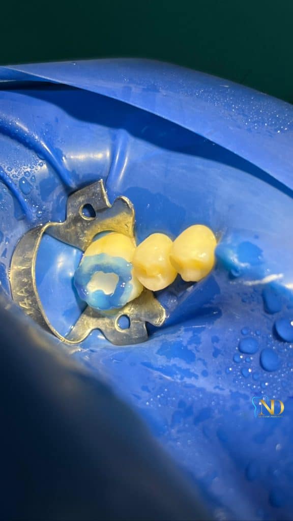 CB096BD8-DBF5-4132-BC67-69650A87EB1B