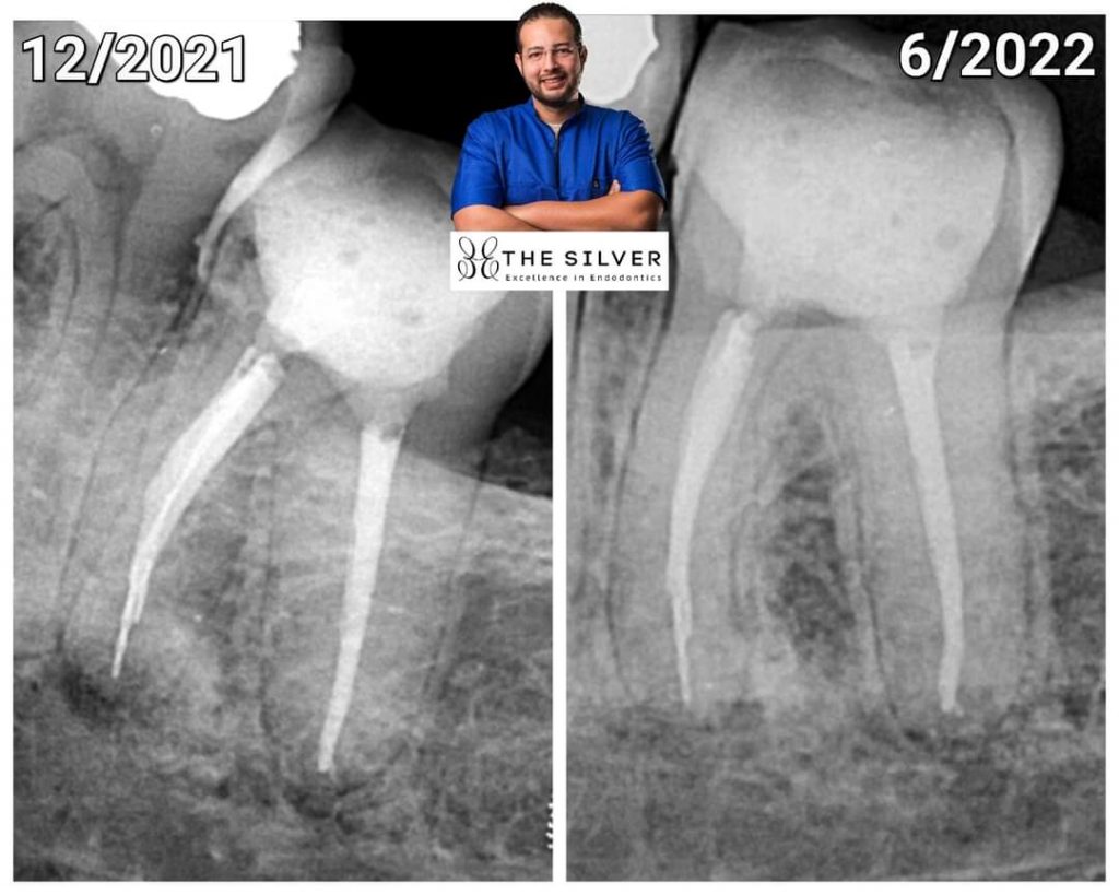 FB_IMG_1655109760107