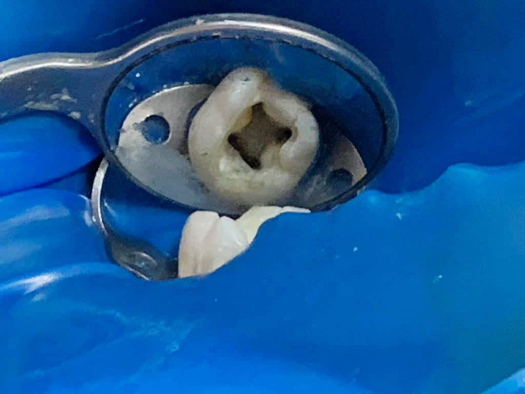 inbound7074321102412398773