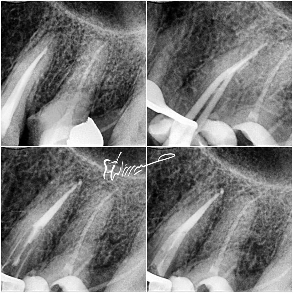 15FB3930-40F7-4A23-BC80-5A056989A70B