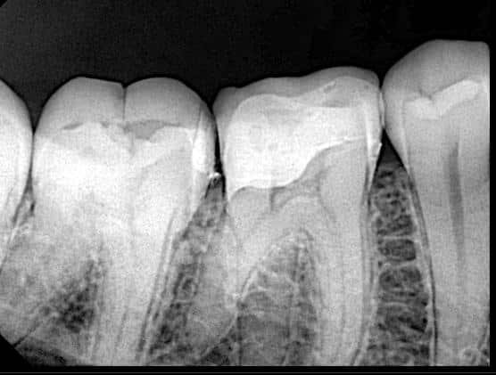 324354132_712867107122832_8376325270990953401_n