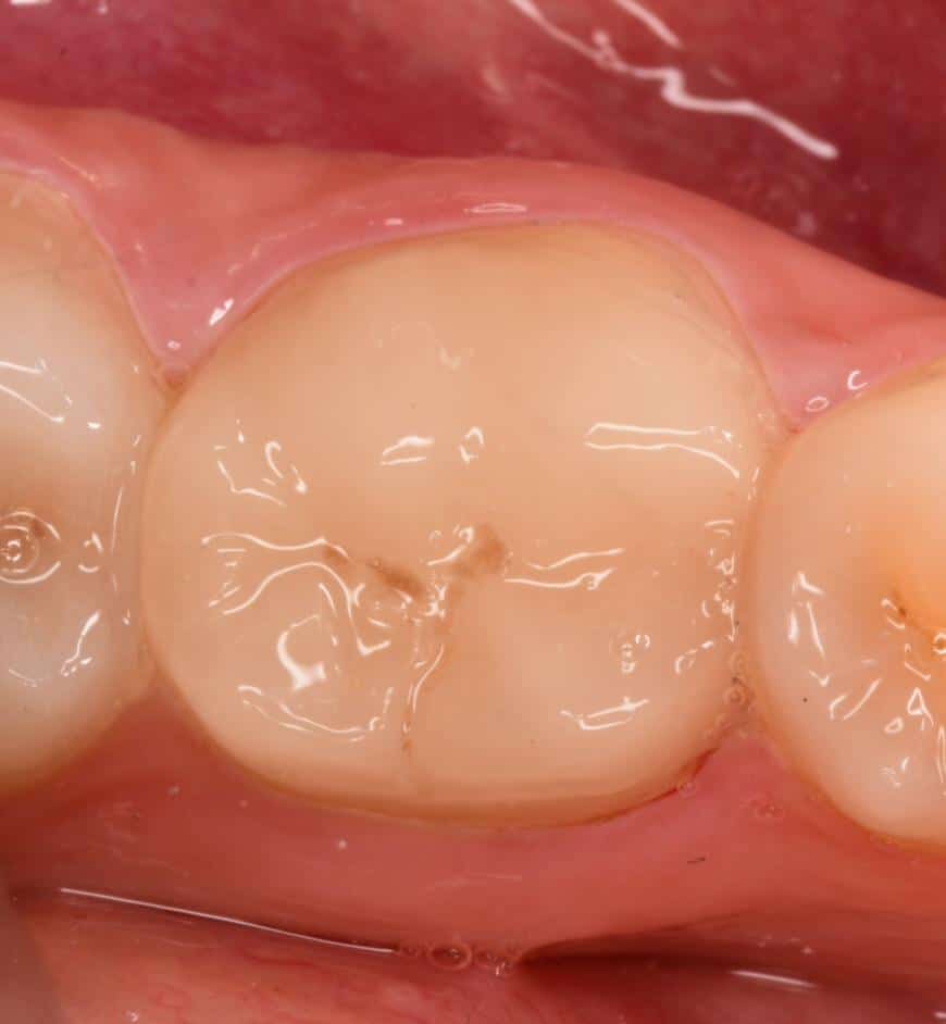 326900710_3415732415418814_6273595003753128413_n