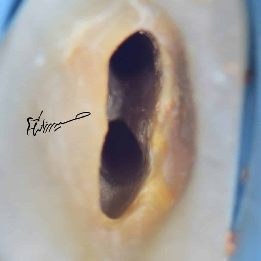 4F17471D-5D42-46E2-A16D-B2991FE07DBF