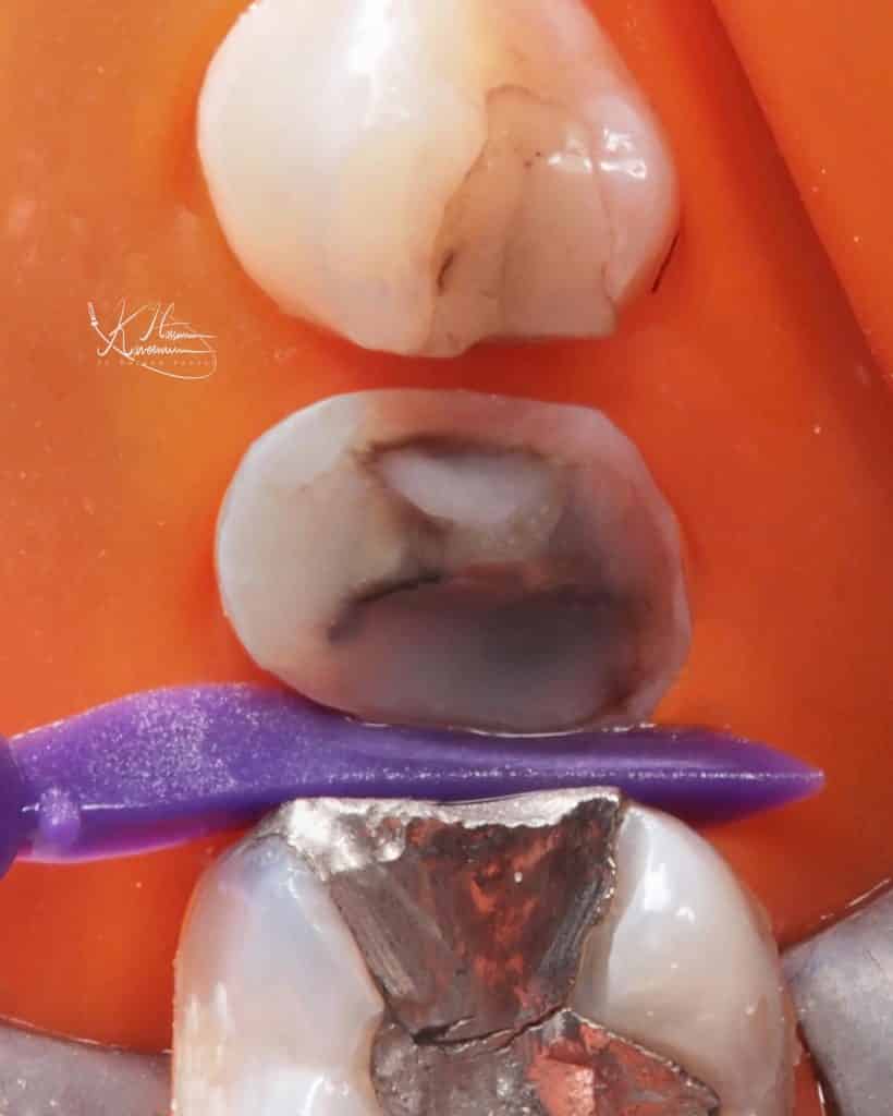 7E3D08BB-620F-41C2-AC52-95A04C617518