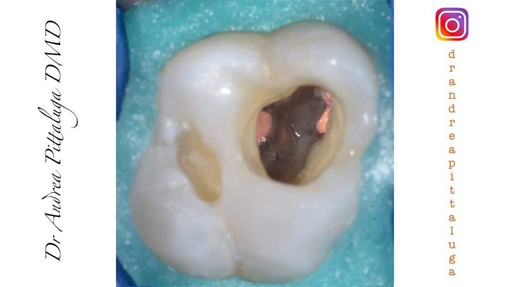 B1A50FE2-3571-4E79-AA91-BEC5993AADEA