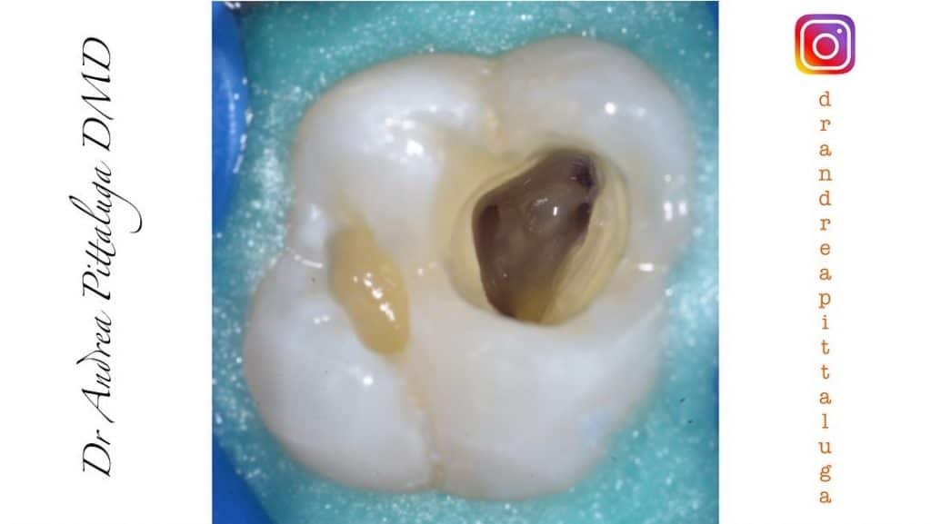 CB9E347F-6F9B-4F53-8030-4FE7849C3377