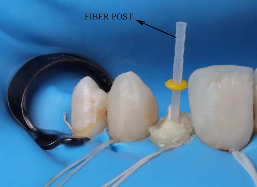 FB_IMG_1657135194990