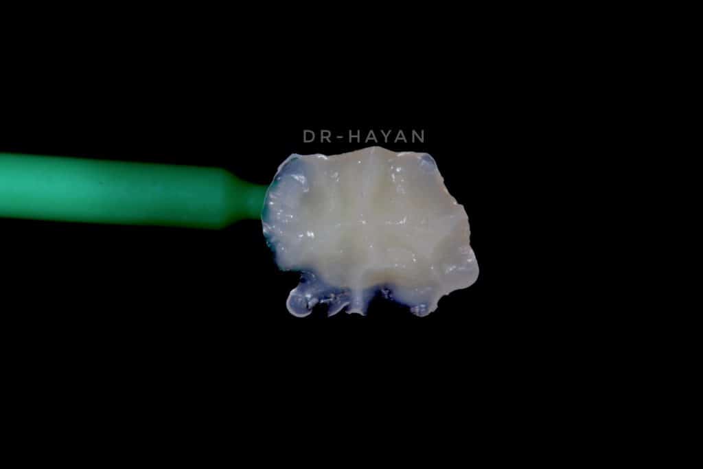 88A4D216-3EEC-44AF-B4E9-A11704EF5FA3