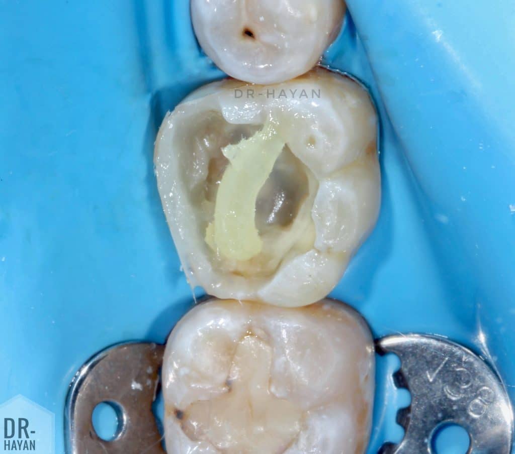 10FDA070-0474-4AA7-9CA2-4FDEFF19D508