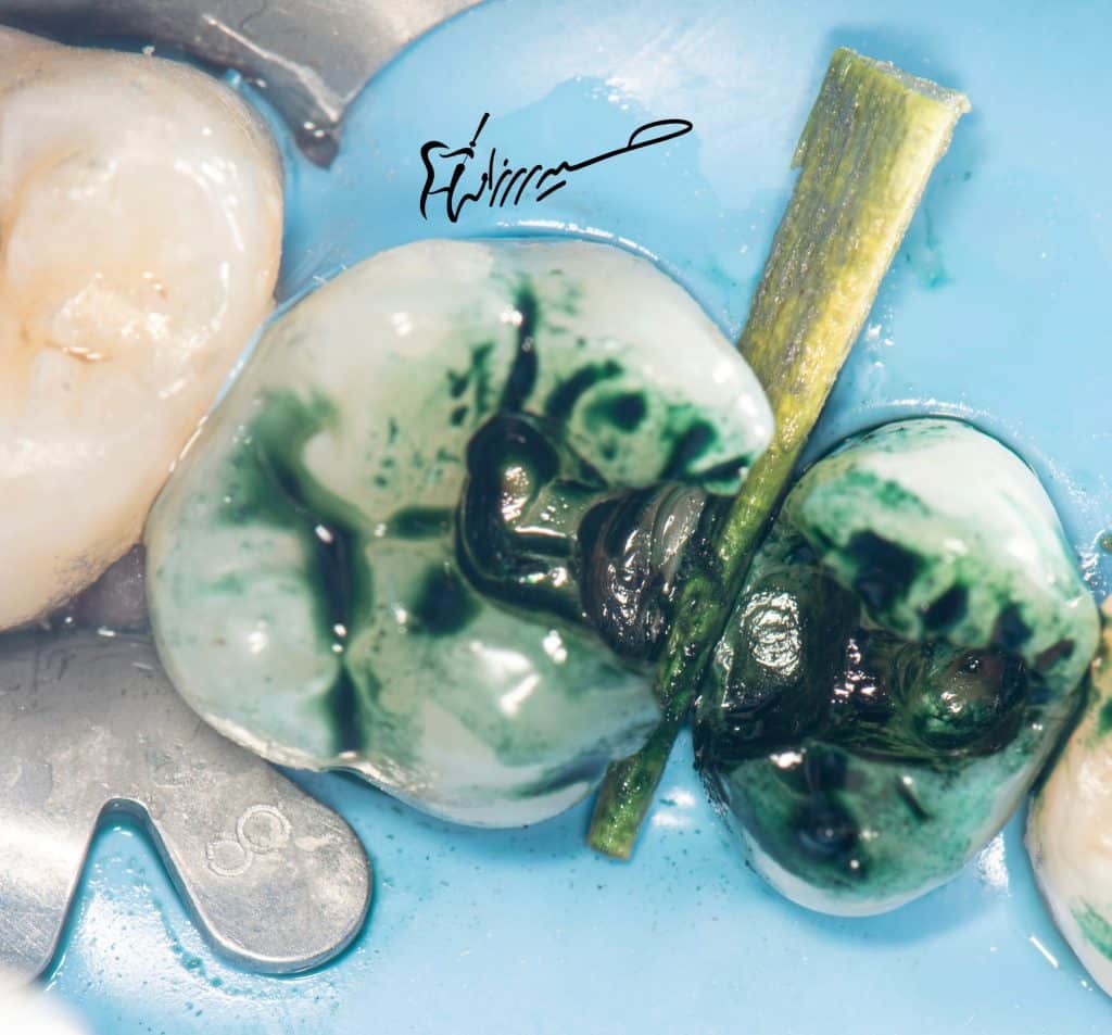 5553B2FD-AF47-4584-98C8-F3C68D502FB7