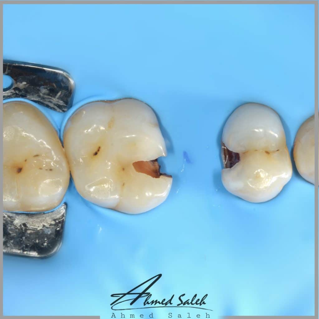 E4573A8F-7A2C-4C77-B1CA-C67689914C1C