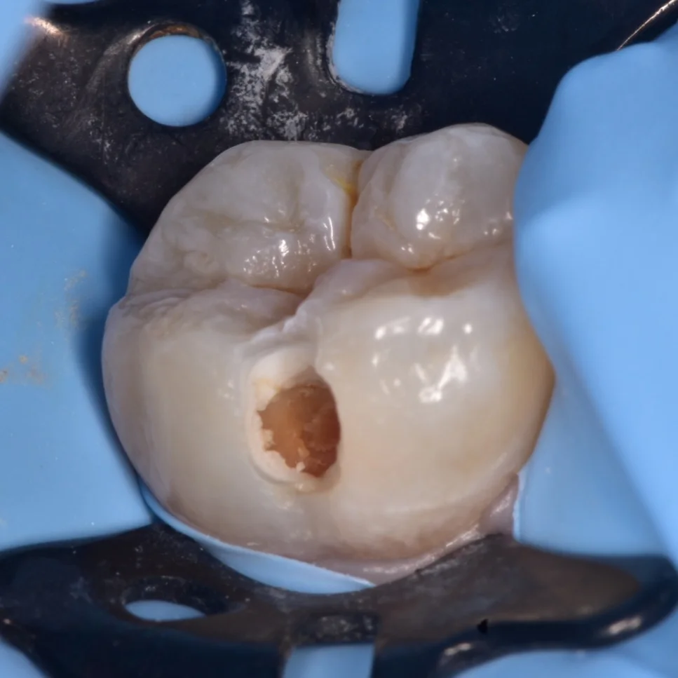 IMG_20221001_104840_213