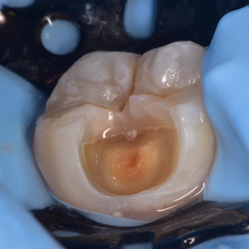 IMG_20221001_104840_249