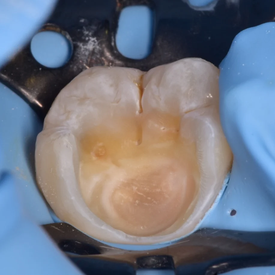 IMG_20221001_104840_319