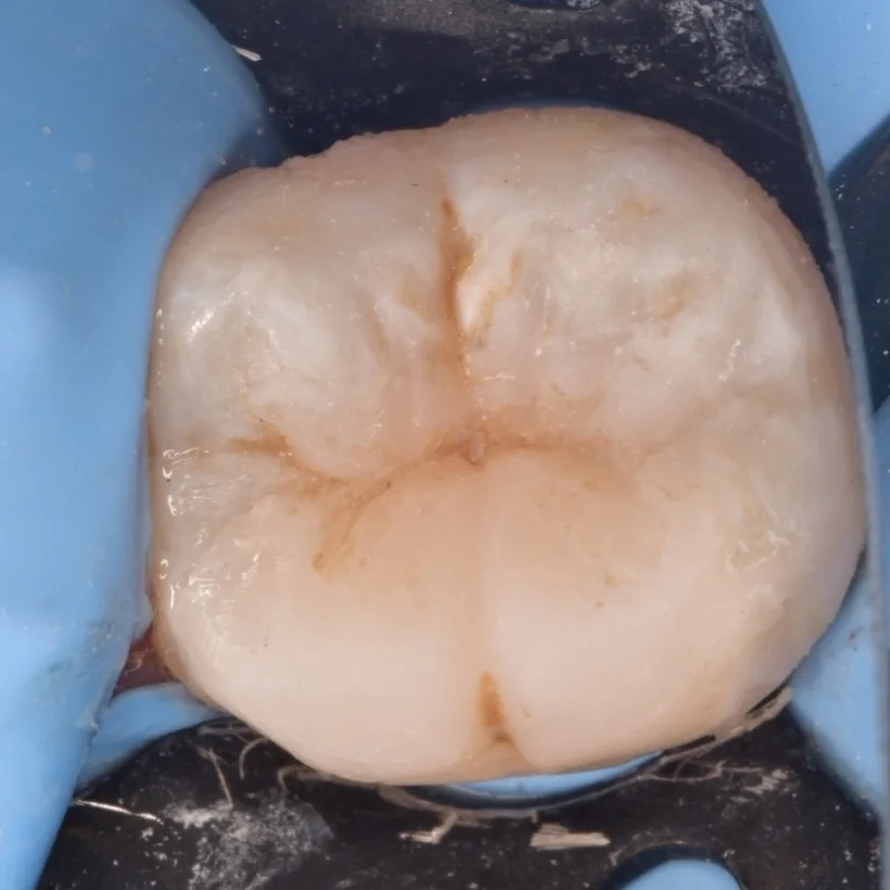 IMG_20221001_104840_498