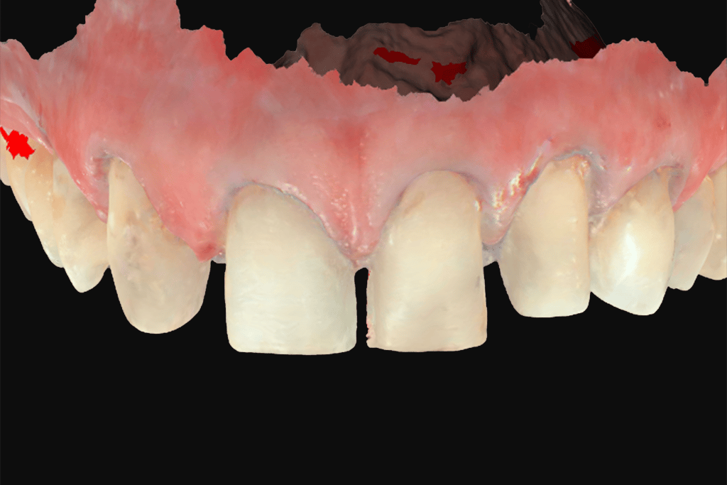 Immagine 2022-06-08 191246