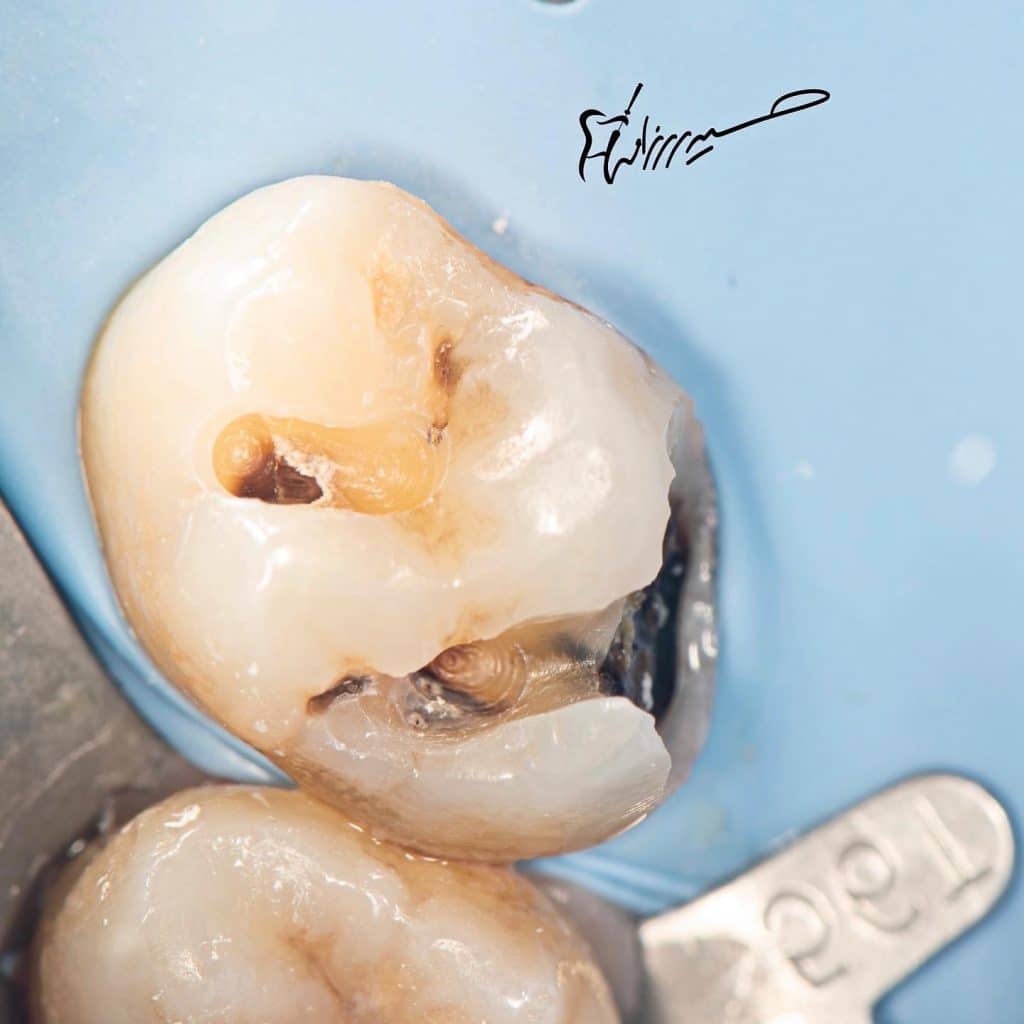 D039C339-F0F0-49FF-9EBD-39D758EE39C6