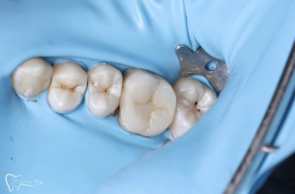 08C6BBC1-9A4C-4ACF-AB36-7B502F8E3408