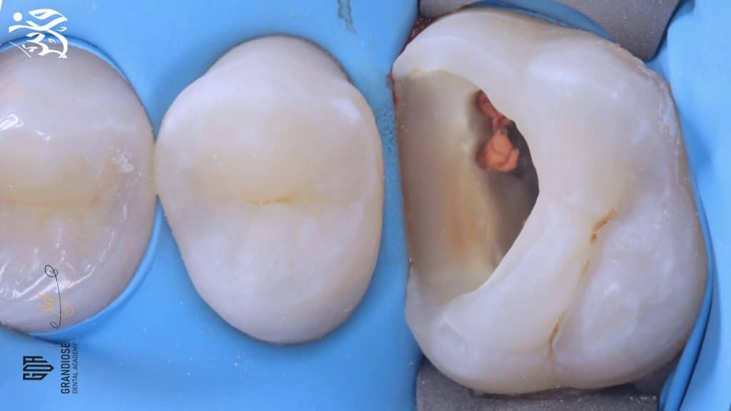 12BCBBE2-1FB0-4B0F-A906-6B1FEE4FD5B9