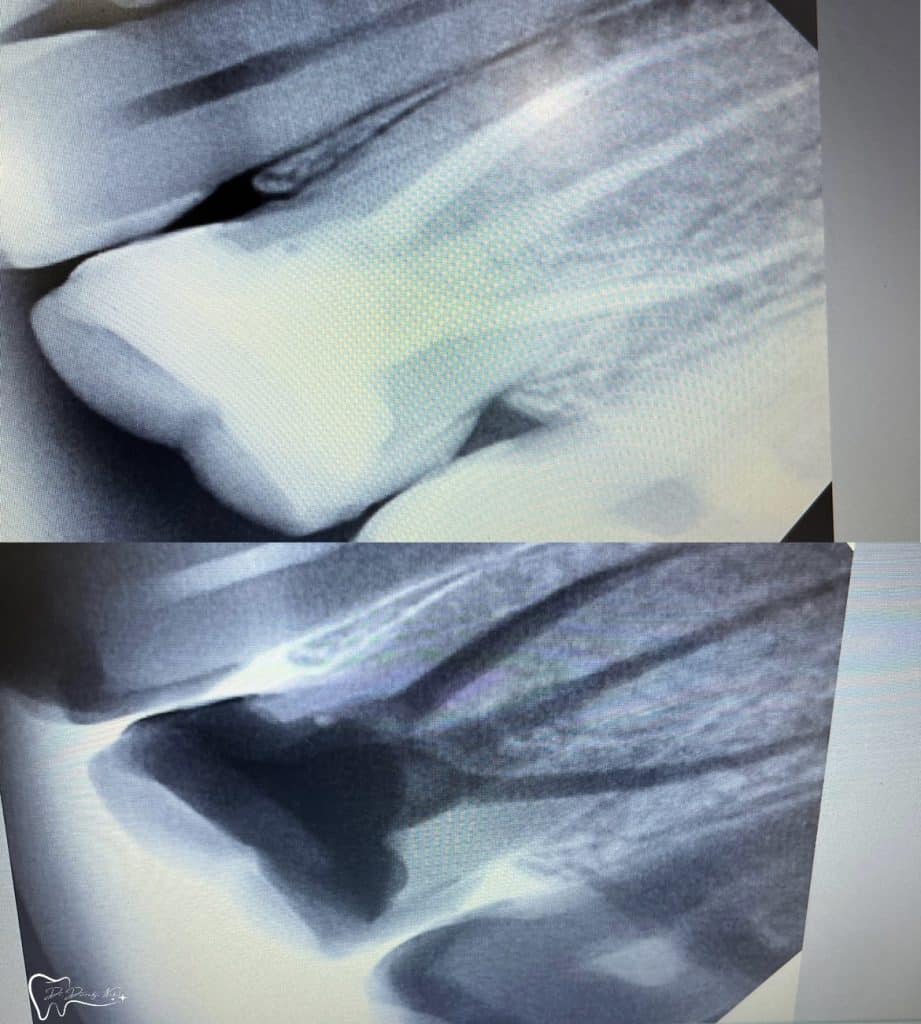 2602B6AD-9665-47EE-82DE-42F82581D9B9