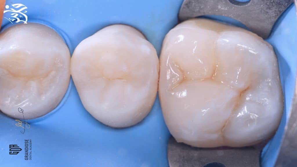 6E739E7C-C28F-4C36-9031-B2A7D1DBDE3A