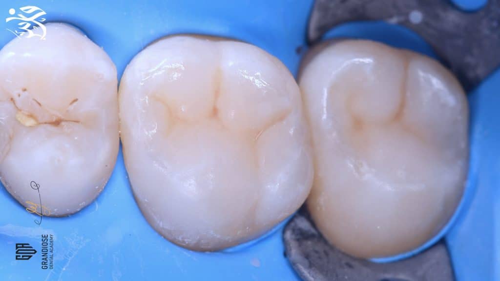 74166D2E-C4DF-4752-9078-F2338F10EF88