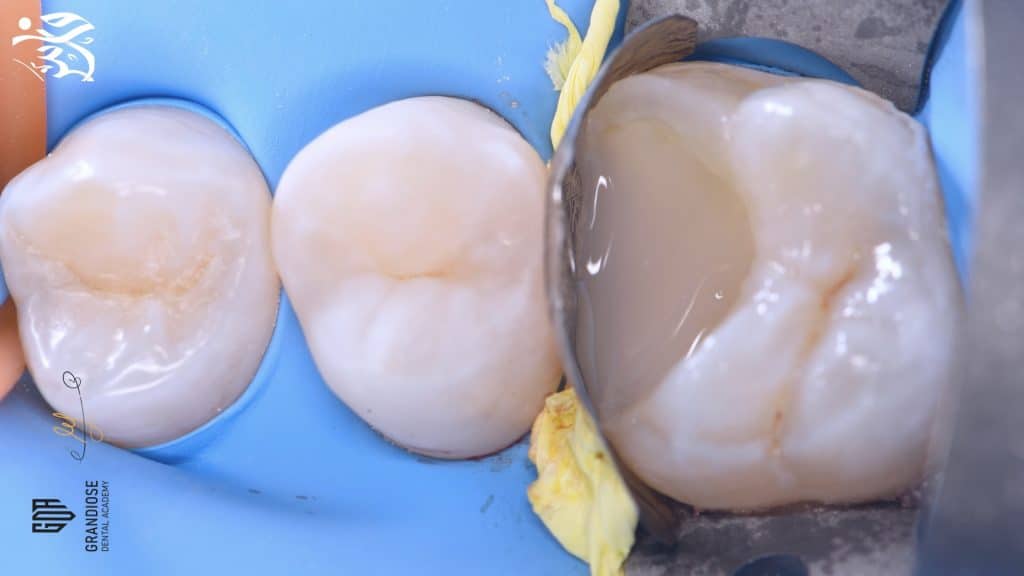 8A3C86A2-B2A7-421F-BBAD-5CFEC4BF71A6