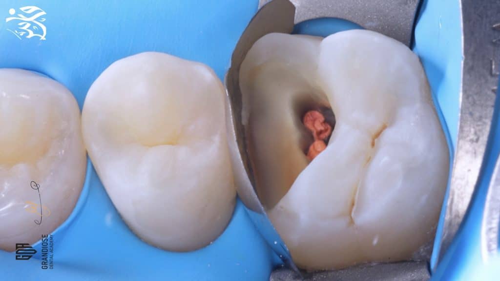 9C8241D1-2A00-4C91-B973-2C95CD38471F