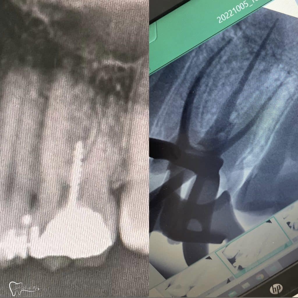 DAB23A77-464A-4369-95B4-93018968C1AB