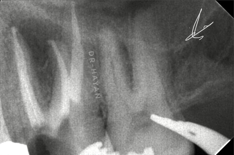 2231158C-4422-4ADA-B8B9-78FB45FA6554