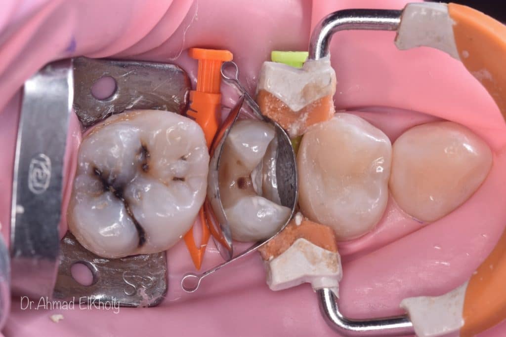 D8408B56-4C8F-46B7-A4A8-39C5F8AA92E6