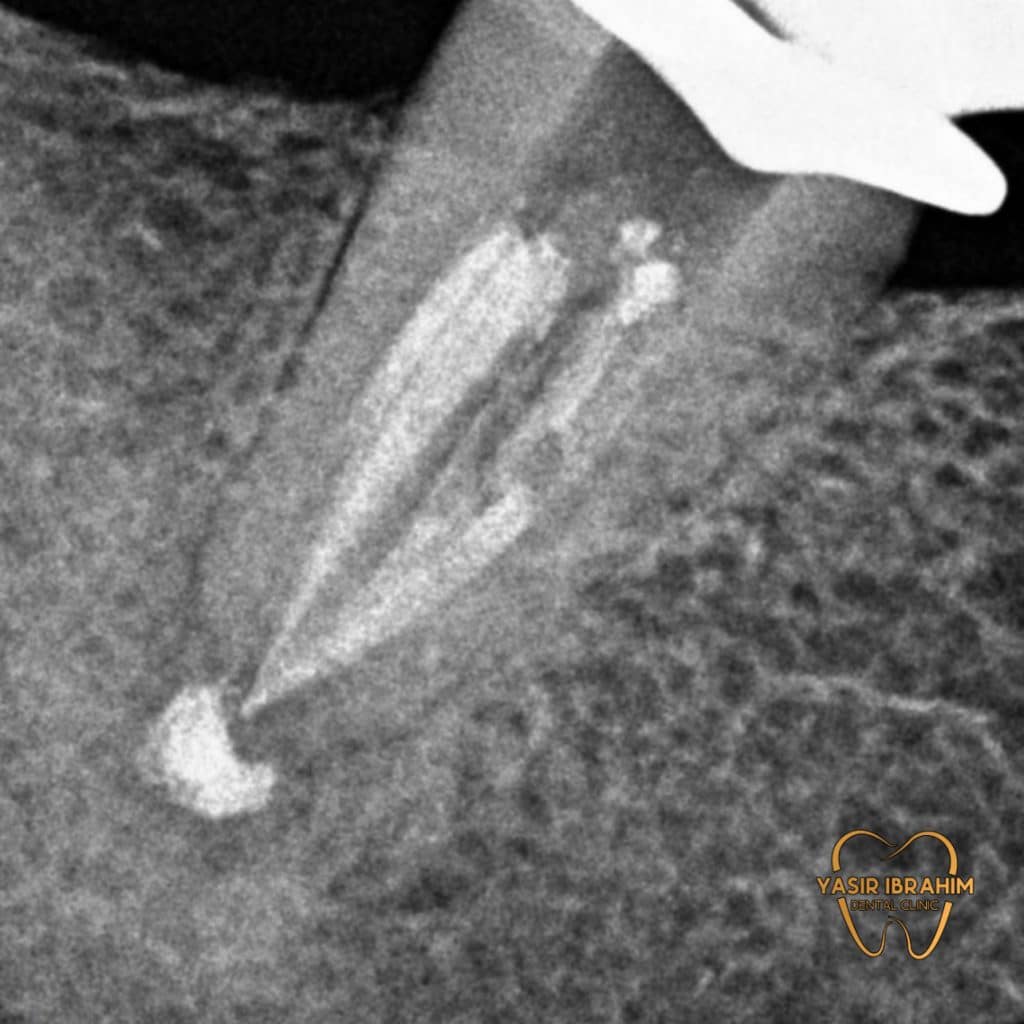 B17E8680-ADB6-4378-86A3-658A06387812