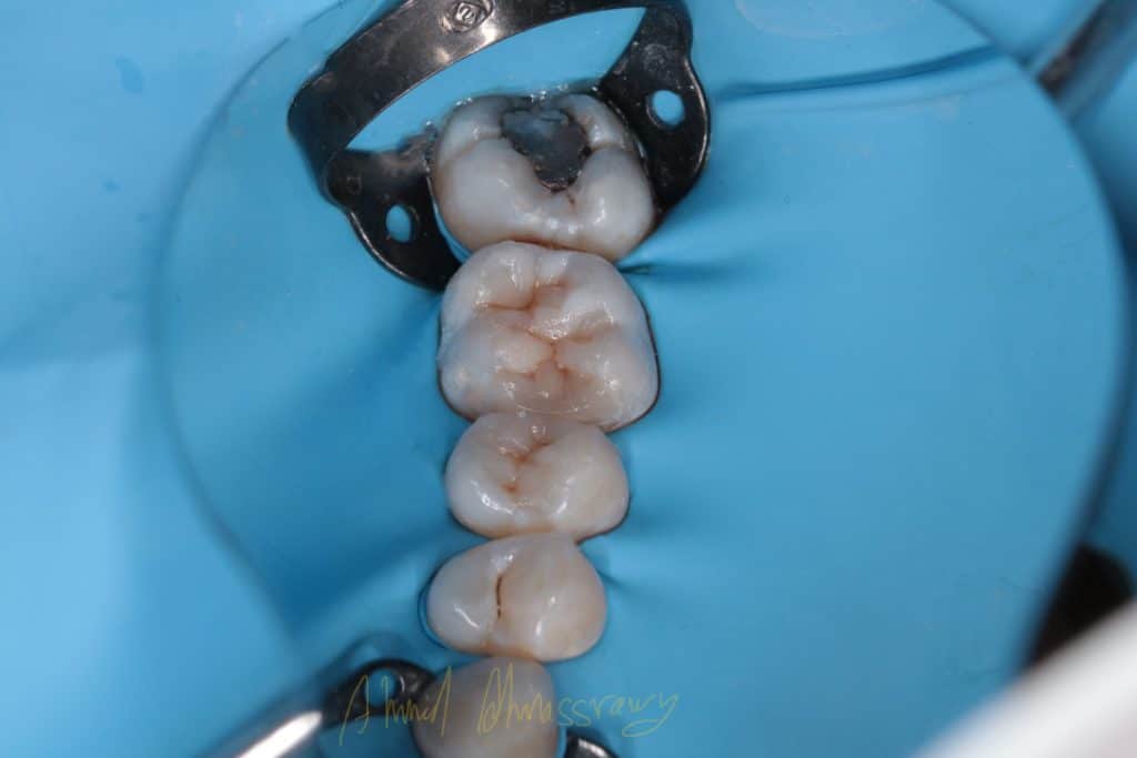 77CA8C61-D49E-43FD-8C46-951EB89ED425