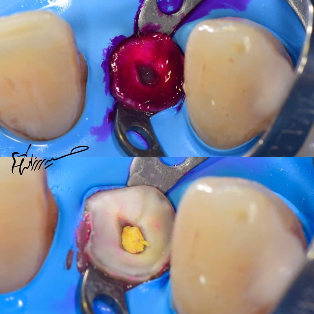 0AC6D253-7164-44BD-A6C7-73A1E2CE3761