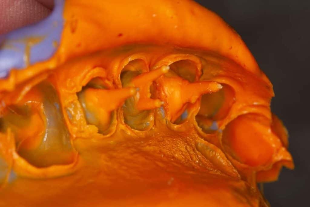 FB_IMG_1683827107699