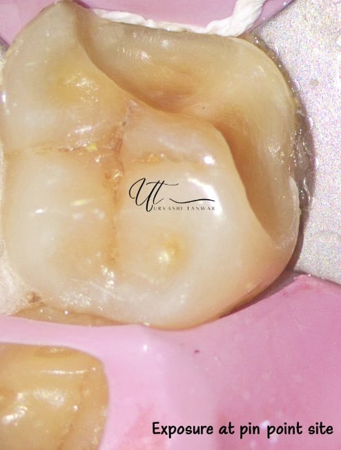 WhatsApp Image 2023-05-06 at 5.44.04 PM