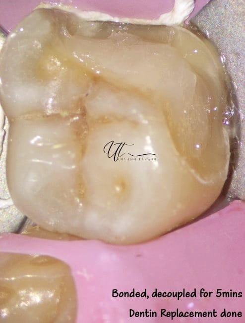 WhatsApp Image 2023-05-06 at 5.45.58 PM