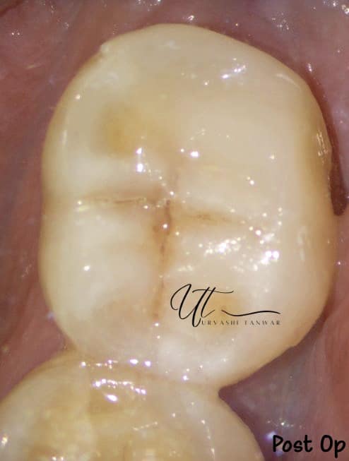 WhatsApp Image 2023-05-06 at 7.53.30 PM