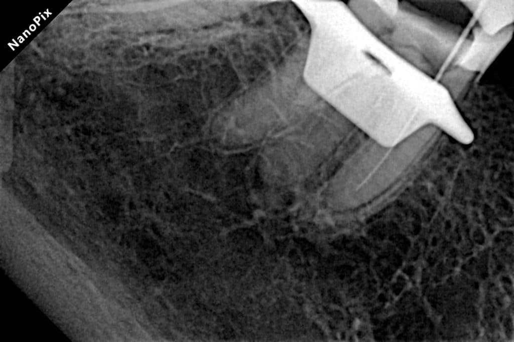 59981435-1DB5-4381-A903-0583C7A94AB9