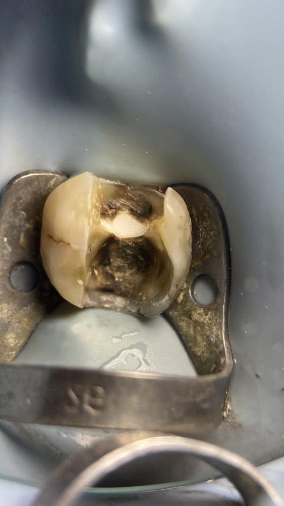 7EC0E846-5841-4501-8AE8-7A0B5A39DCE5