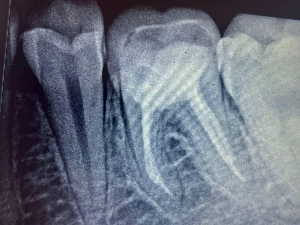 BE82A633-16DD-4C6A-A1A8-C4CF16E3A4A6