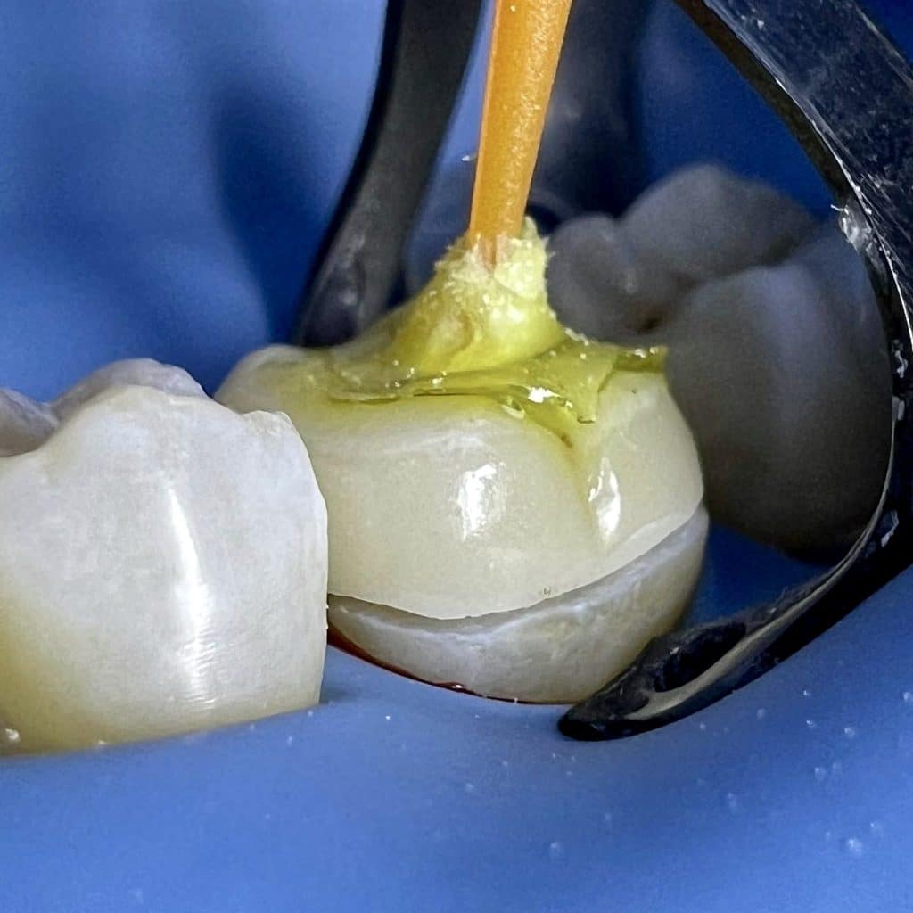 EE2560E5-7190-4F36-B063-E7C92267B9BC