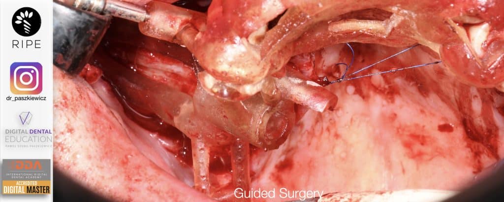 ‎Michalska FULL.‎037