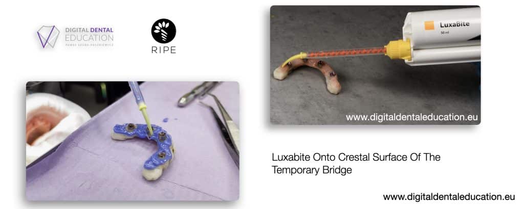 ‎Michalska FULL.‎048